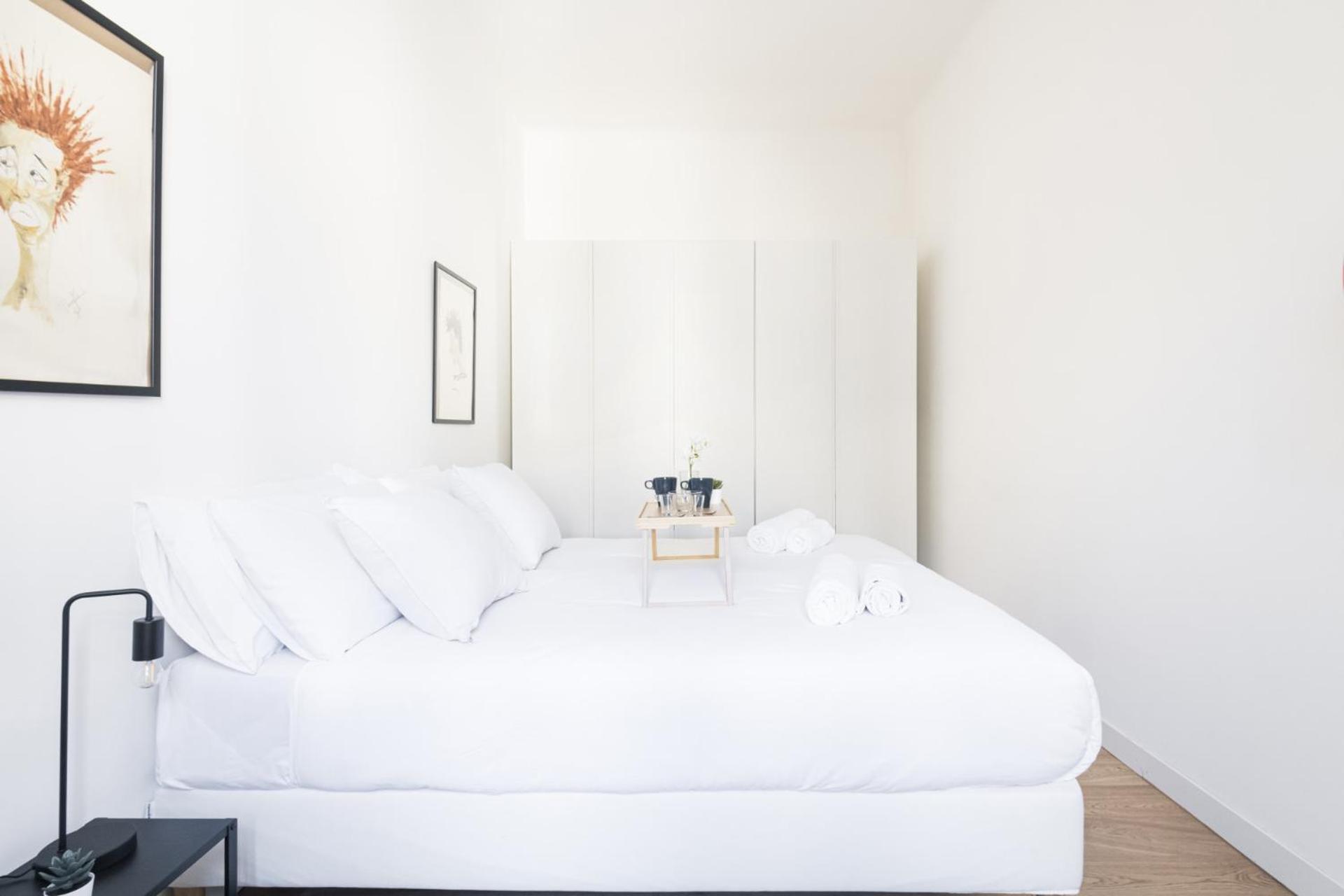 Apartamento Easylife-luminoso In Zona Garibaldifs *